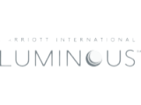 MIPP LUMINOUS LOGO MEDIUM 1 1