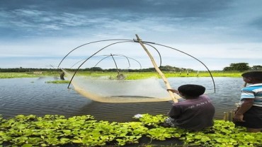 Fishing & Angling