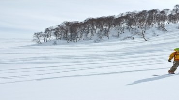 Ski & Snowboard