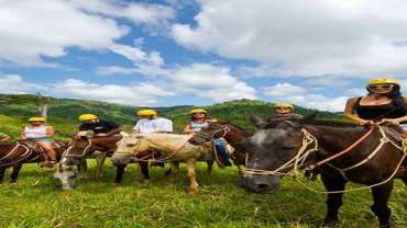 Horse Riding