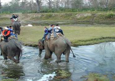 South India Wildlife Tour