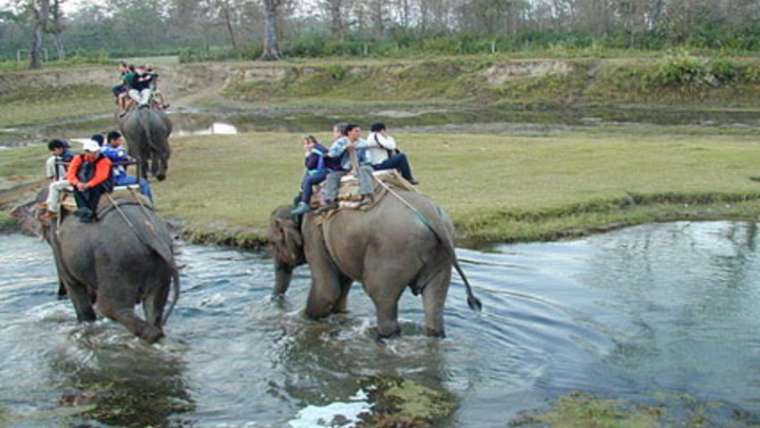South India Wildlife Tour