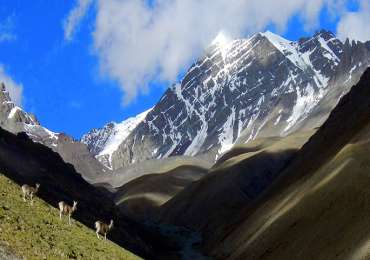 Stok Kangri Trek