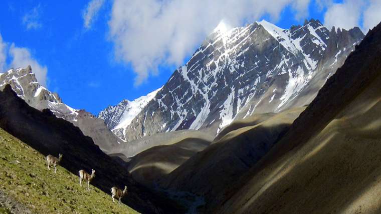 Stok Kangri Trek
