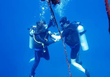Scuba Diving Neil Island