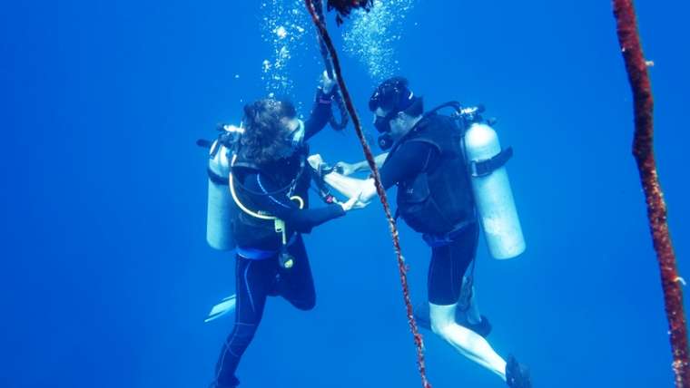 Scuba Diving Neil Island