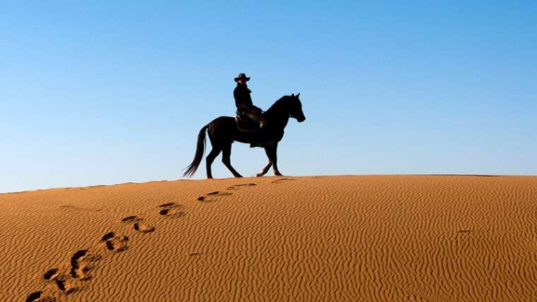Desert Horse Ride of Rajasthan