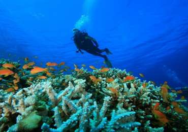 Havelock & Neil Scuba Diving Package