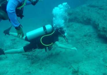 Scuba Diving In Havelock