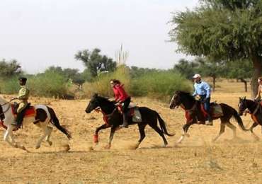 Rural Rajasthan Horse Ride