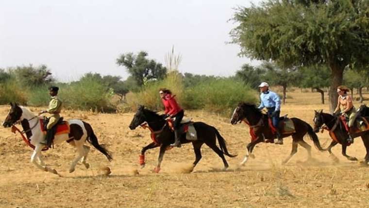 Rural Rajasthan Horse Ride