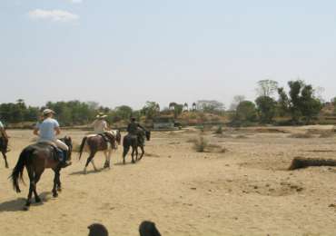 Pushkar Fair Horse Riding Tour