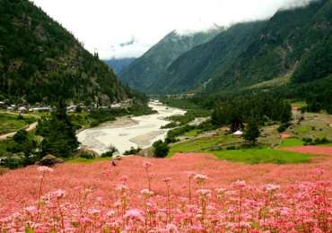 Fishing & Angling Tour in Sangla Valley