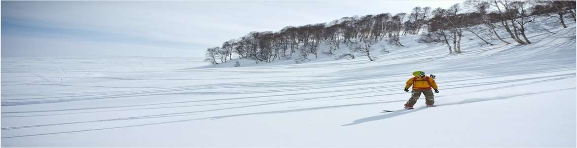 Ski & Snowboard