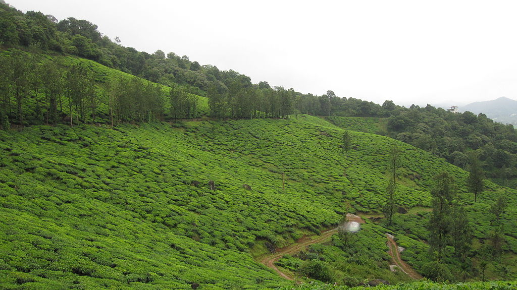 Top 10 trekking places in India