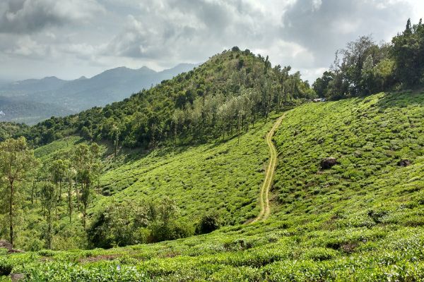 Top 10 Hills Station around Bangalore for Summer Vacation