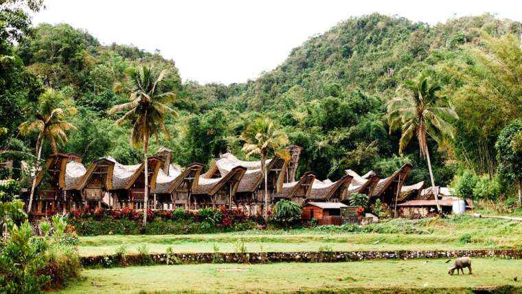 Temples & Tradition in Java & Sulawesi