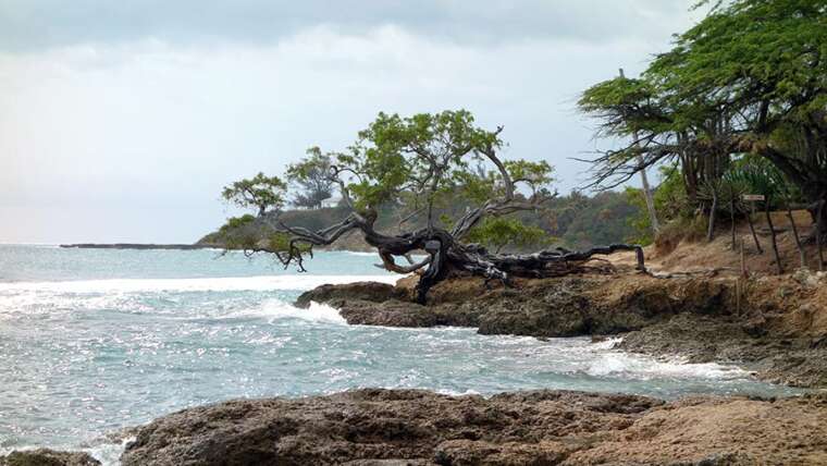 Travel around Jamaica