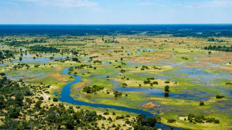Best of Botswana
