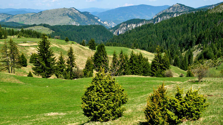 Bulgaria – Rodopi Mountains