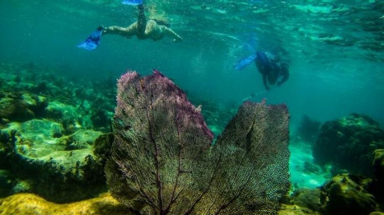 Explore Belize