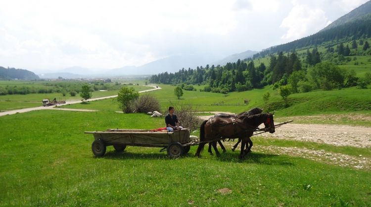 Highlights of Romania