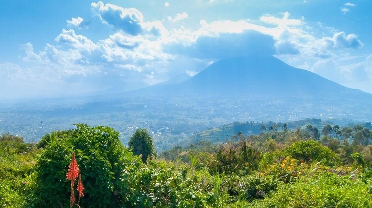 Rwanda Highlights