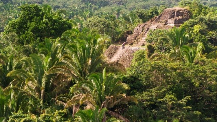 Discover Belize