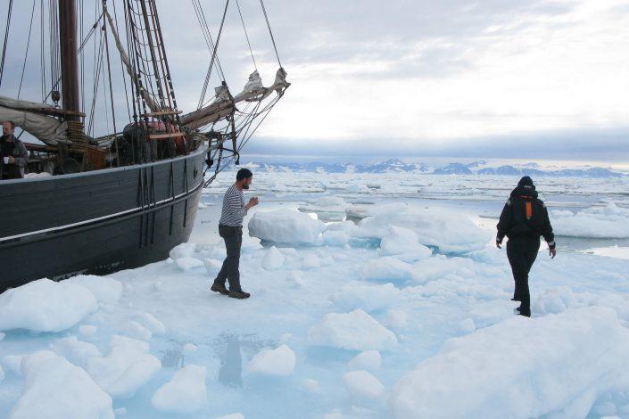 cruise-greenland