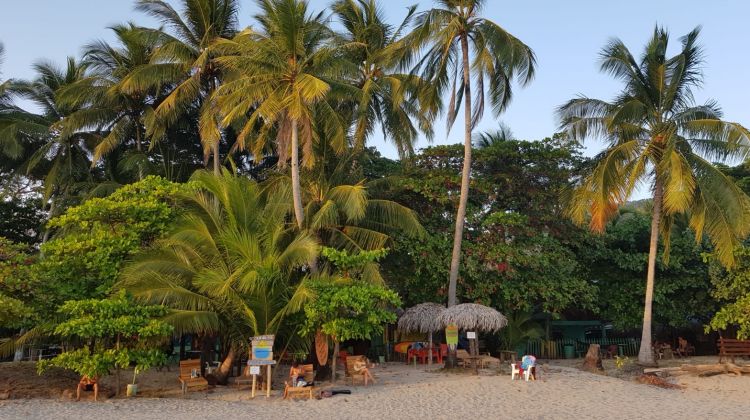 Eco Adventure Trip in Costa Rica
