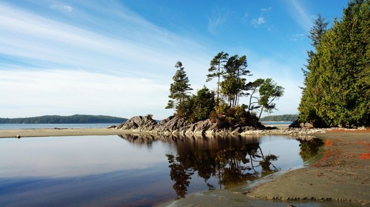 Whales & Bears of British Columbia