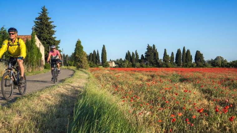 Cycle Provence