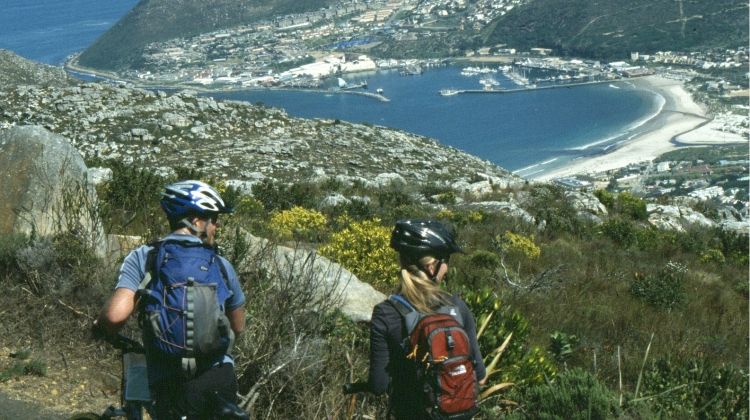 Cycling the Cape & Winelands