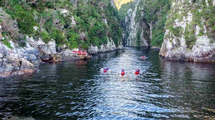 Garden Route Tour