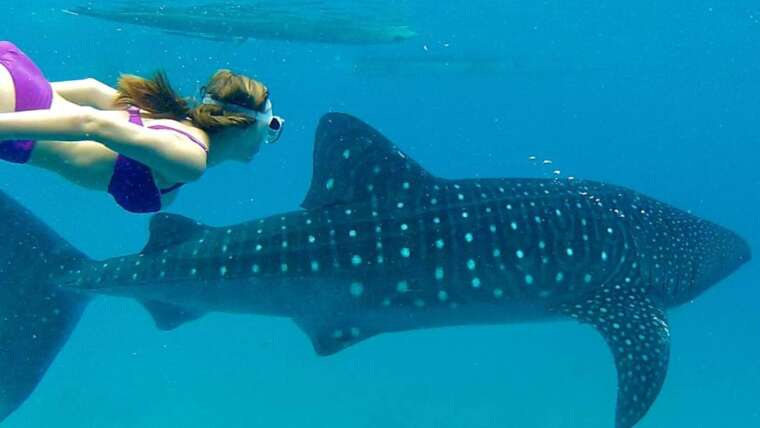 Seychelles Experience